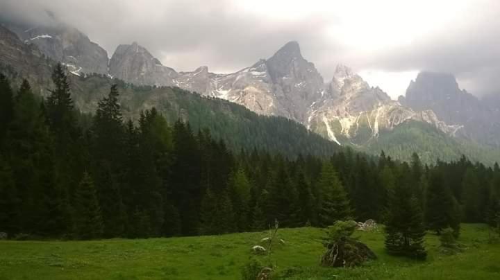 Hotel Garni Suisse San Martino Di Castrozza Exterior photo